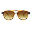 Sunglasses with tortoise frame and brown lenses on a white background.