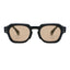 SAL sunglasses, black frame with brown lens, front view