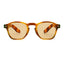 TWILIGHT sunglasses, tortoise frame with earth brown lens, front view