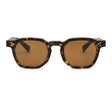 DOR TORTOISE EARTH BROWN