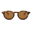 PLASTIKA sunglasses, tortoise frame with earth brown lens, front view