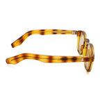 Sunglasses with tortoise frame and brown lenses on a white background